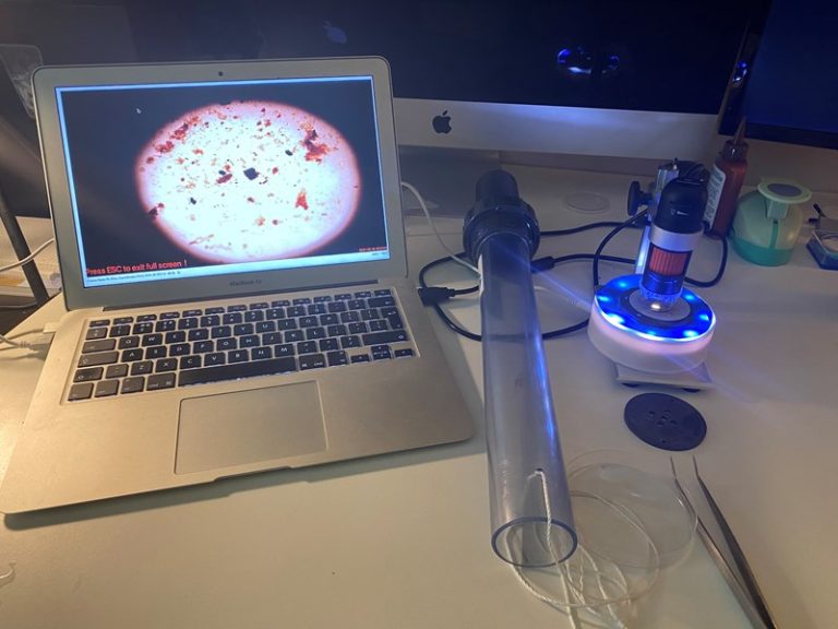 The microscope set-up used to look at plankton, with the view on a laptop screen.