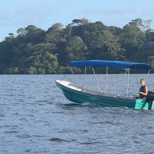 Electric boat
