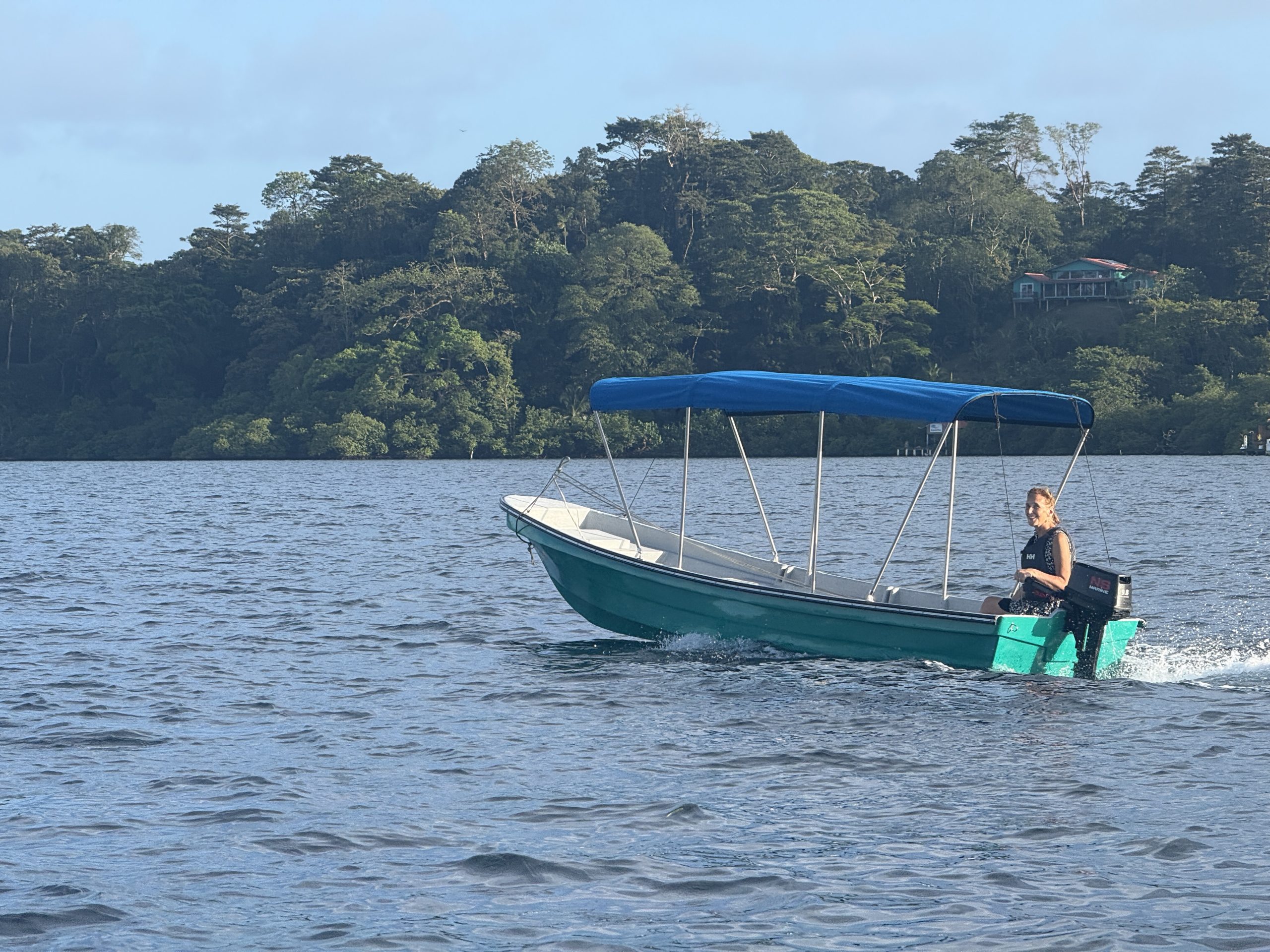 Electric boat