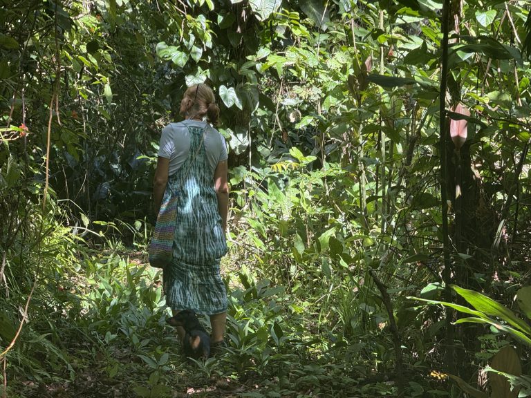 A woman walking away along a path through dense forest.