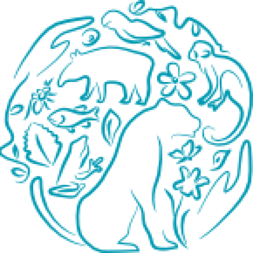 Geoversity logo