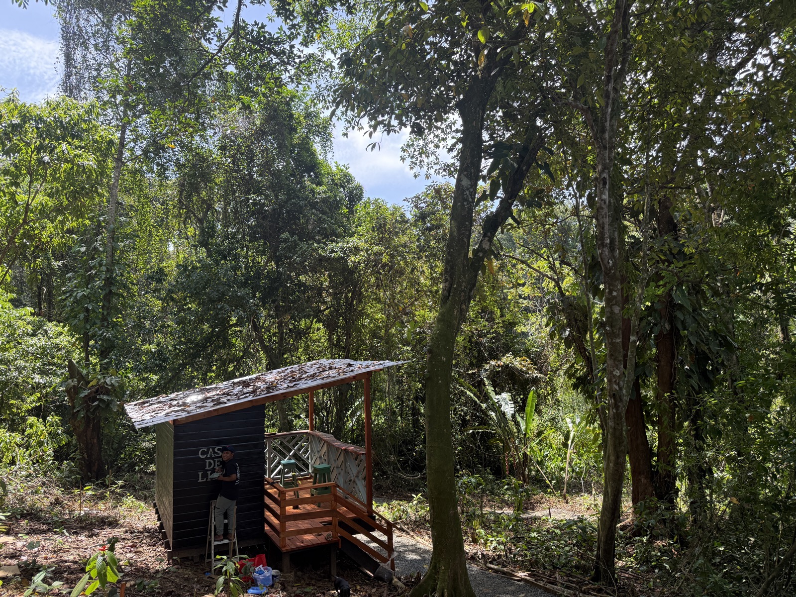 Casa de Liana in the forest