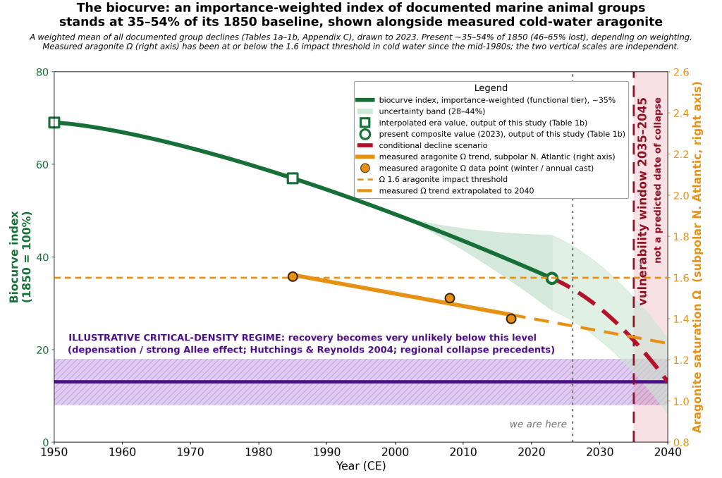The biocurve: an importance-weighted index of documented marine animal groups from 1950 to 2040, with aragonite saturation calculated from measurements on a right-hand axis. The plotted importance-weighted value is about 35% of the 1850 level in 2023, and a conditional decline scenario follows to 2040.