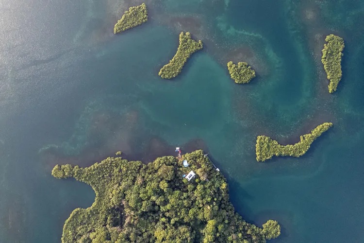 Seahorse Point seen from directly above: a forested headland with a narrow arm of mangrove reaching out to one side, and small mangrove islands in the blue-green water beside it.