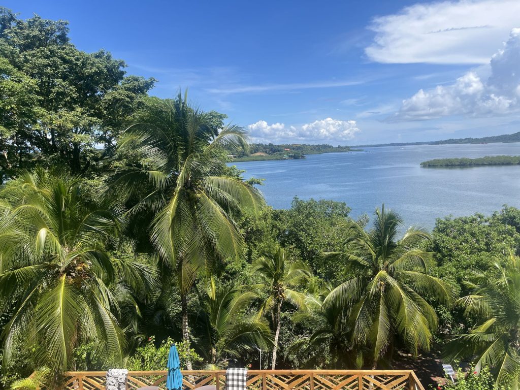 Palm trees and green forest above a wide blue bay with mangrove islands, seen from the hill at Seahorse Point