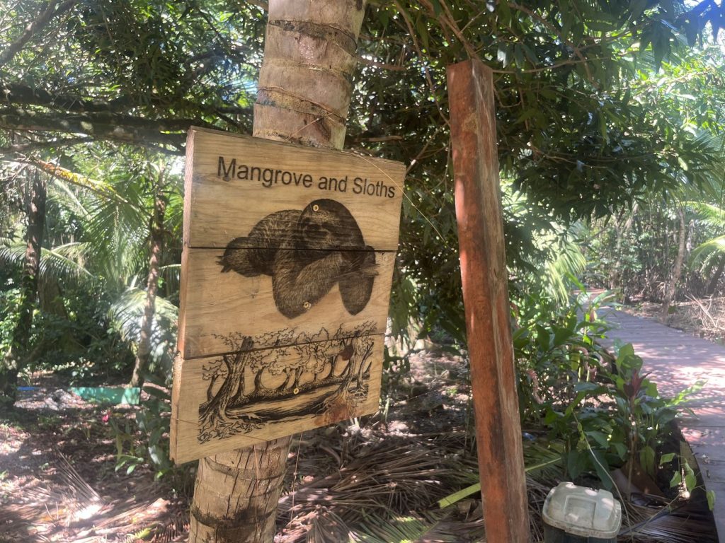 A carved wooden sign reading Mangrove and Sloths on a tree beside a trail