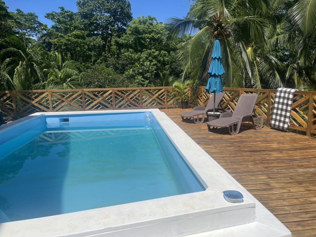 The pool and its wooden deck among the trees, with sun loungers